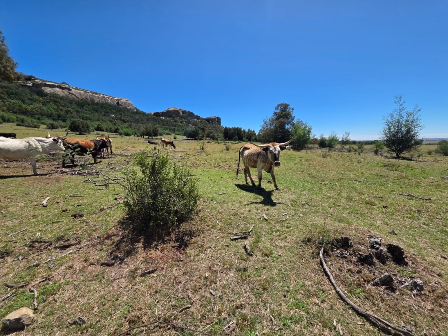 8 Bedroom Property for Sale in Bethlehem Rural Free State